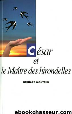 César 03 - César et le maître des hirondelles by Montaud Bernard