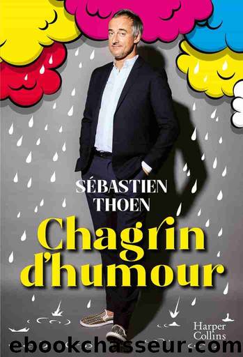 Chagrin d'humour by Sébastien Thoen
