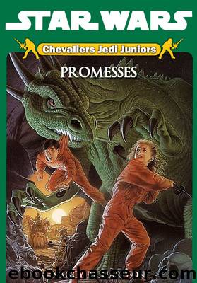Chevaliers Jedi Juniors Tome 3 - Promesses by Nancy Richardson