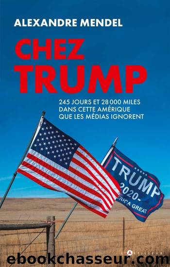 Chez Trump by Alexandre Mendel