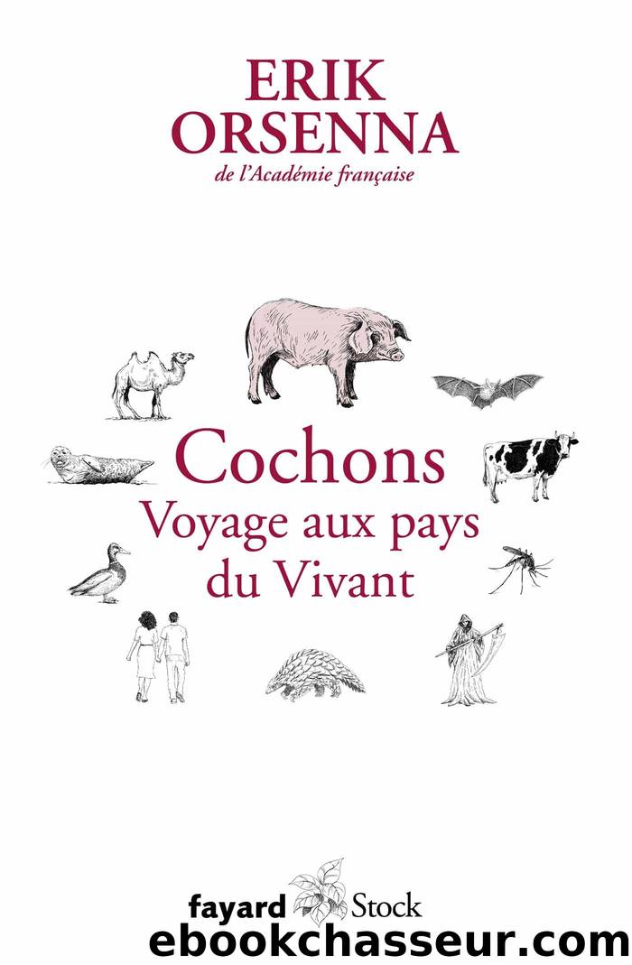 Cochons: Voyage aux pays du Vivant by Orsenna Erik