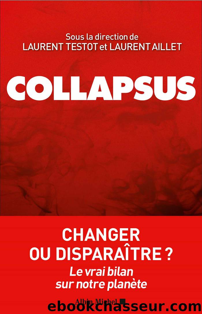 Collapsus by Laurent Testot & Laurent Aillet