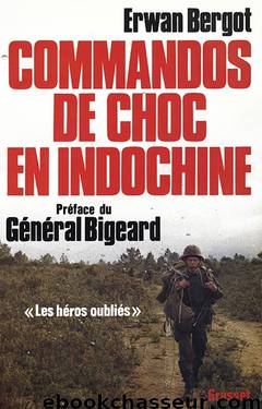 Commandos de choc en Indochine by Erwan Bergot