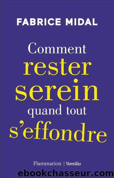 Comment rester serein quand tout s'effondre by Fabrice Midal
