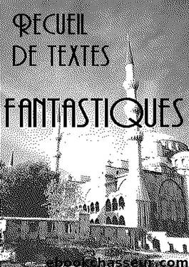 Contes et Nouvelles Fantastiques fançais du XIX by Inconnu