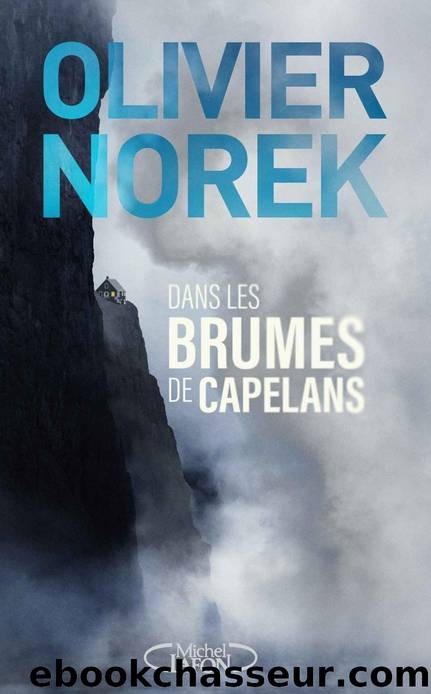 Dans les brumes de Capelans by Olivier Norek