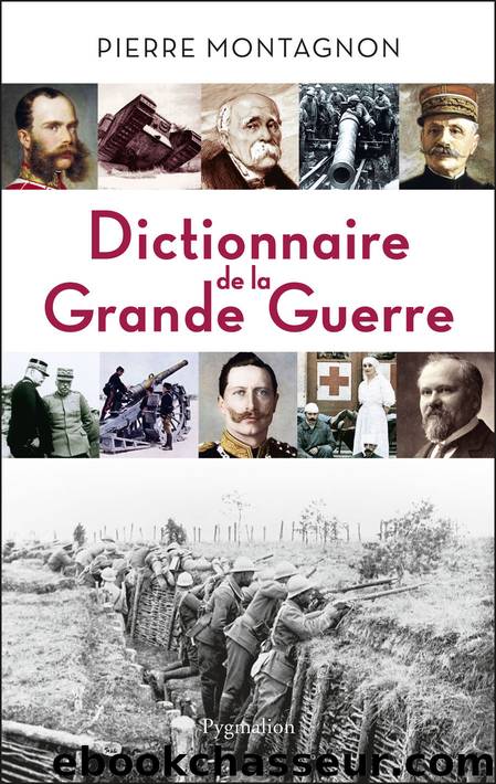 Dictionnaire de la Grande Guerre by Pierre Montagnon