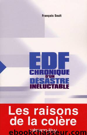 EDF : chronique d'un désastre inéluctable by François Soult