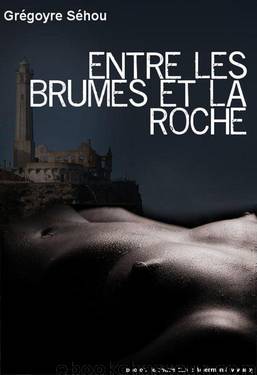 Entre les brumes et la roche (French Edition) by Séhou Grégoyre