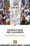 Géopolitique des islamismes by Anne-Clémentine Larroque