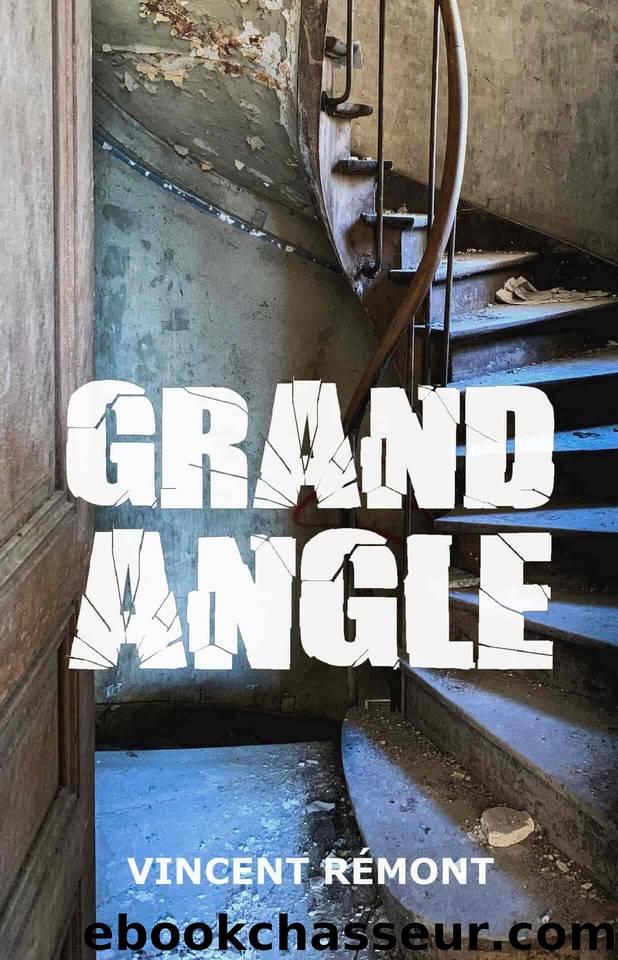 GRAND ANGLE: thriller (French Edition) by Rémont Vincent