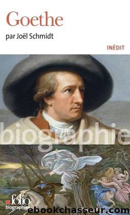 Goethe by Joël Schmidt