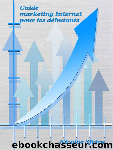Guide marketing Internet pour les débutants (French Edition) by Nicolae Sfetcu