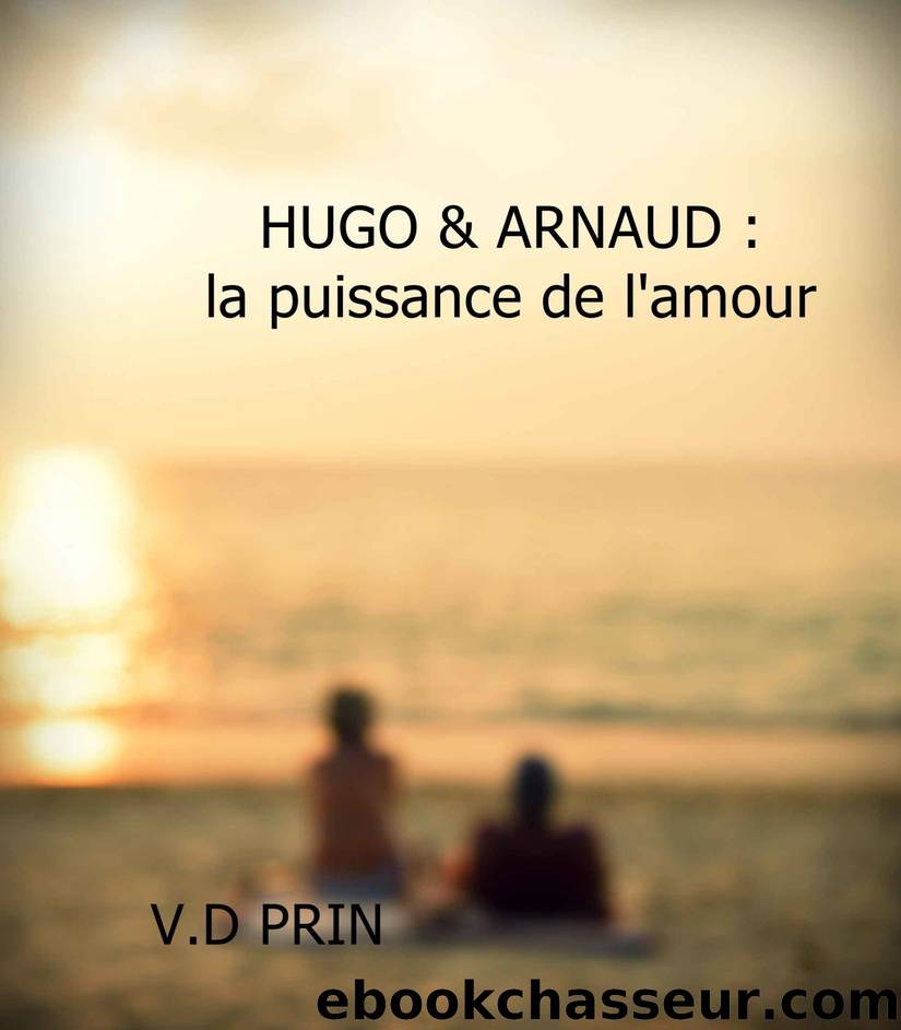 HUGO & ARNAUD : la puissance de l'amour (French Edition) by V.D Prin