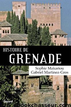 Histoire de Grenade by Martinez-Gros Gabriel & Makariou Sophie