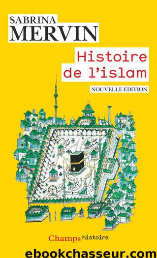 Histoire de l'islam: Fondements et doctrines by Sabrina Mervin