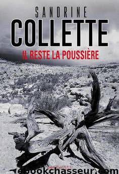 Il reste la poussière (Sueurs froides) (French Edition) by Sandrine Collette