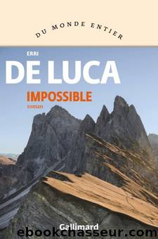 Impossible by De Luca Erri