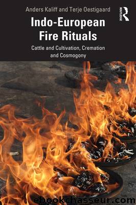 Indo-European Fire Rituals by Anders Kaliff & Oestigaard Terje
