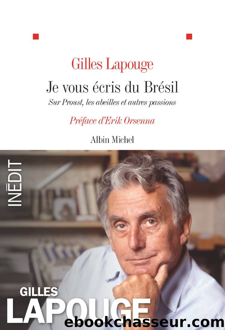 Je vous Ã©cris du BrÃ©sil (prÃ©f. Orsenna) by Gilles Lapouge & Érik Orsenna
