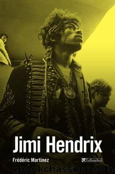 Jimi Hendrix by Frédéric Martinez