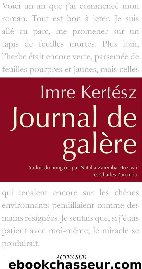 Journal de galère by Imre Kertész