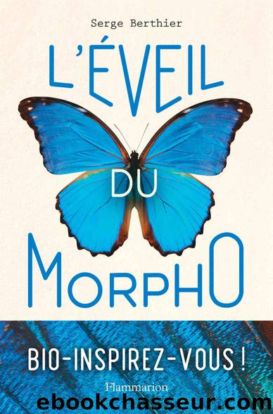 L'Ã©veil du Morpho by Serge Berthier