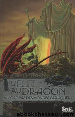 L'Elfe au dragon 03 Sorciers des mondes glauques by Ténor Arthur