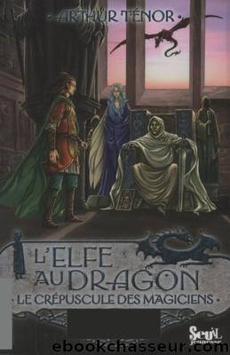 L'Elfe au dragon 06 Le crÃ©puscule des magiciens by Ténor Arthur