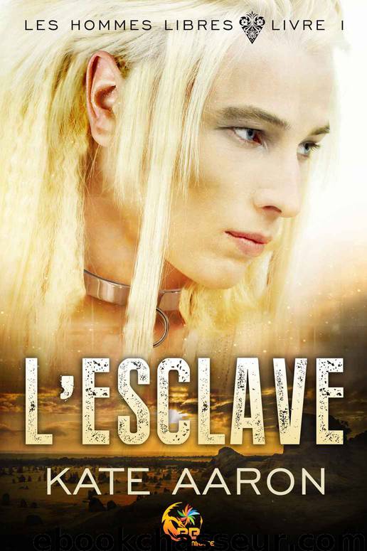 L'Esclave: Les Hommes libres, t. 1 (French Edition) by Kate Aaron