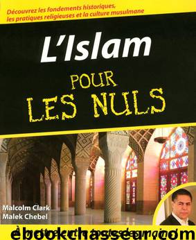 L'Islam pour les Nuls by Clark Malcolm & Chebel Malek