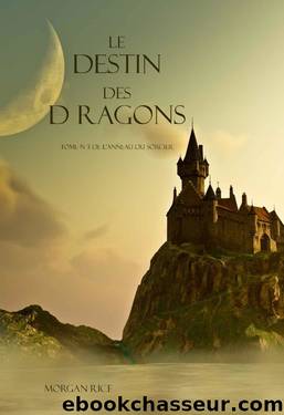 L'anneau du sorcier T3 Le Destin Des Dragons by Rice Morgan