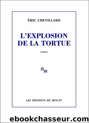 L'explosion de la tortue by Éric Chevillard