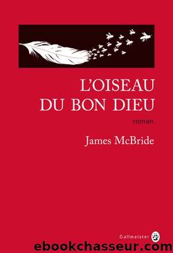 L'oiseau du Bon Dieu (2013) by McBride James