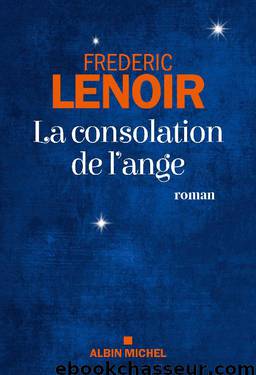 La Consolation de l'ange by LENOIR Frédéric