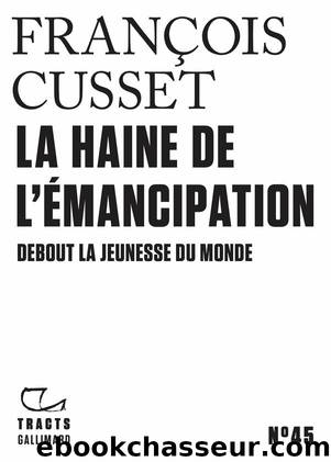 La Haine de l'Ã©mancipation. Debout la jeunesse du monde by François Cusset