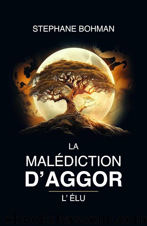 La MalÃ©diction d'Aggor - Tome 2 (French Edition) by Stéphane BOHMAN
