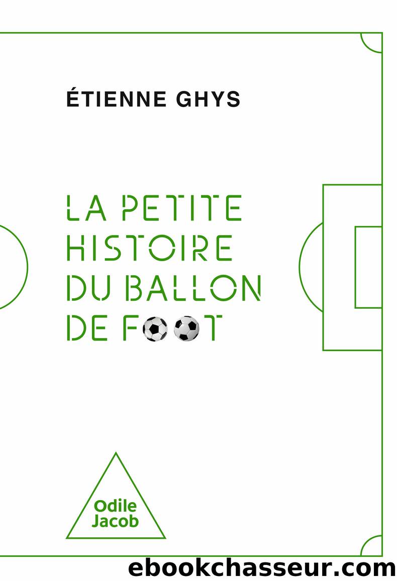 La Petite Histoire du ballon de foot by Ghys Étienne