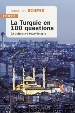 La Turquie en 100 questions by Dorothée Schmid