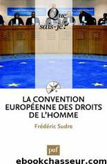 La convention européenne des droits de l'homme by Frédéric Sudre