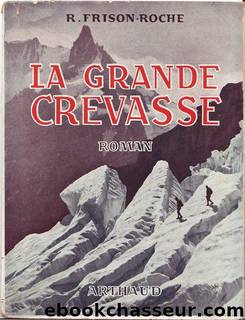 La grande crevasse by Roger FRISON-ROCHE