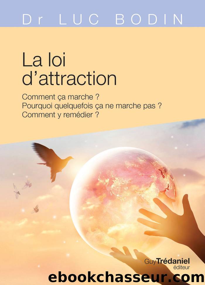 La loi d'attraction by Luc Bodin