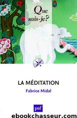 La méditation by Fabrice Midal