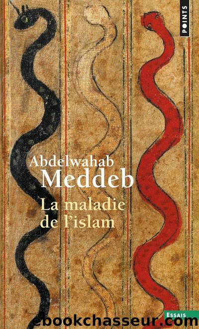 La maladie de l'islam by Abdelwahab Meddeb