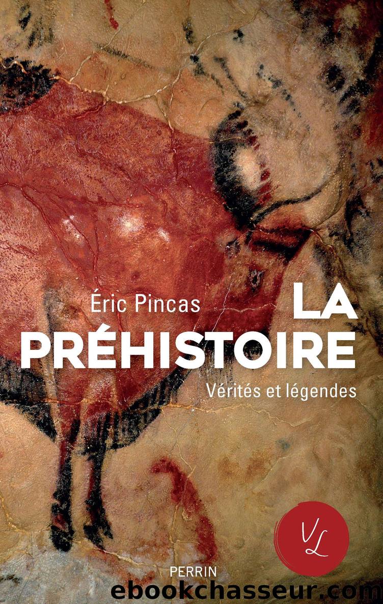 La préhistoire by Pincas Éric