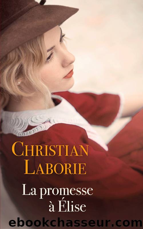 La promesse Ã  Elise by Christian Laborie