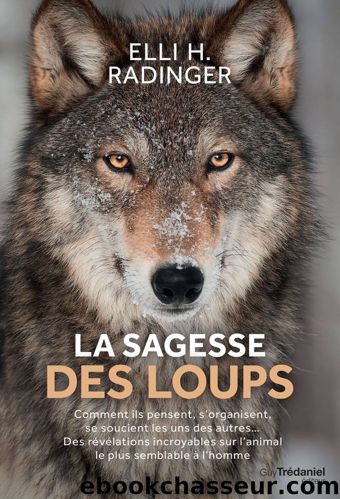 La sagesse des loups by Elli H. Radinger