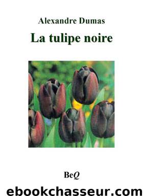 La tulipe noire by Alexandre Dumas