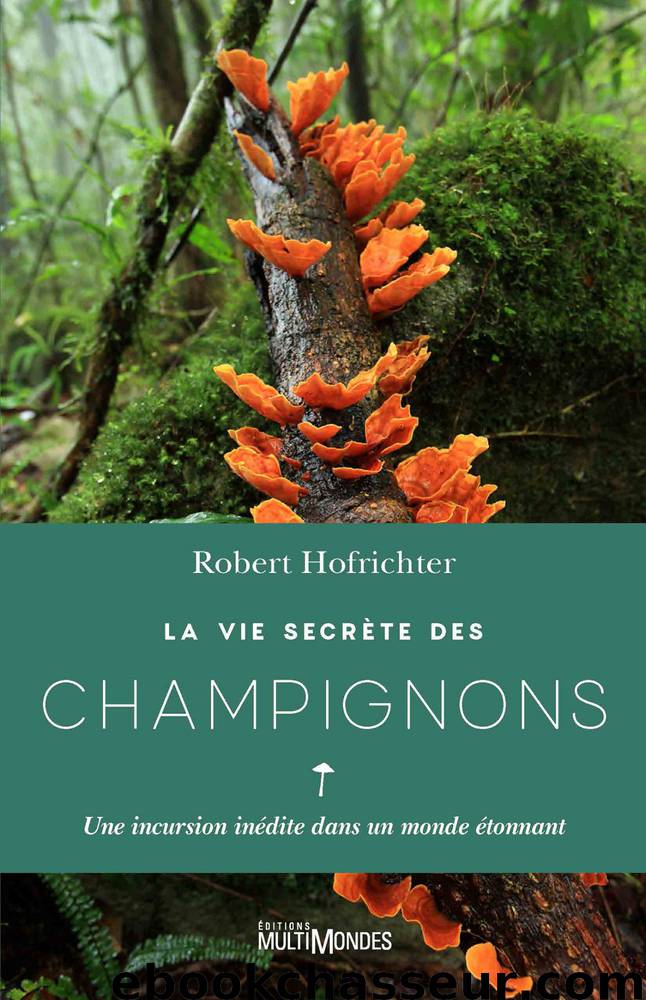 La vie secrète des champignons by Robert Hofrichter