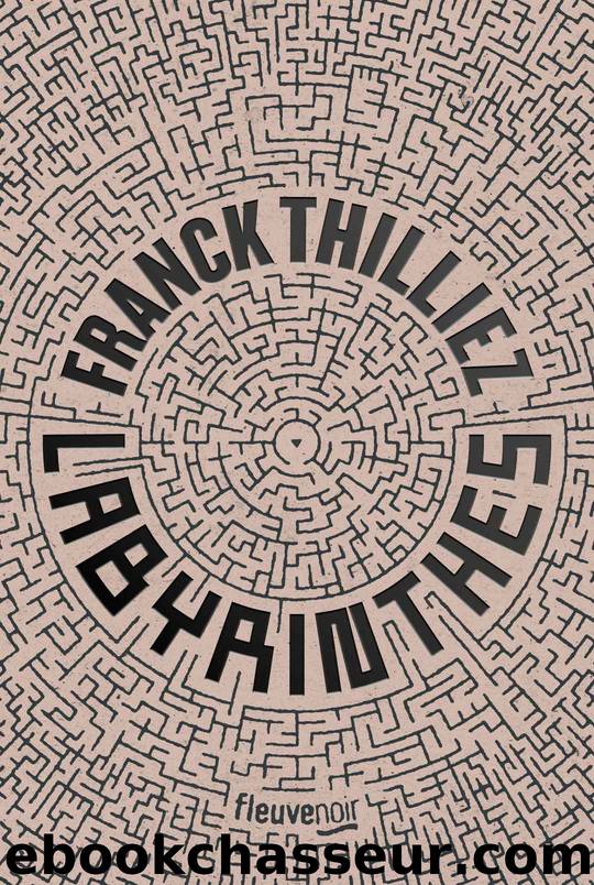 Labyrinthes by Franck Thilliez
